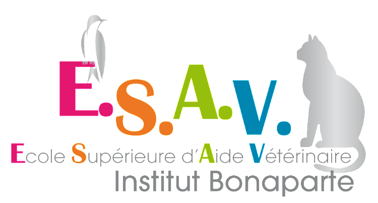 ESAV Logo